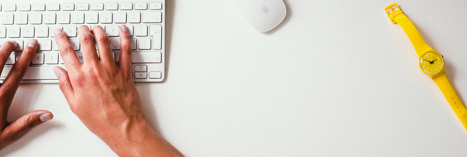 Shelter Cat Enrichment